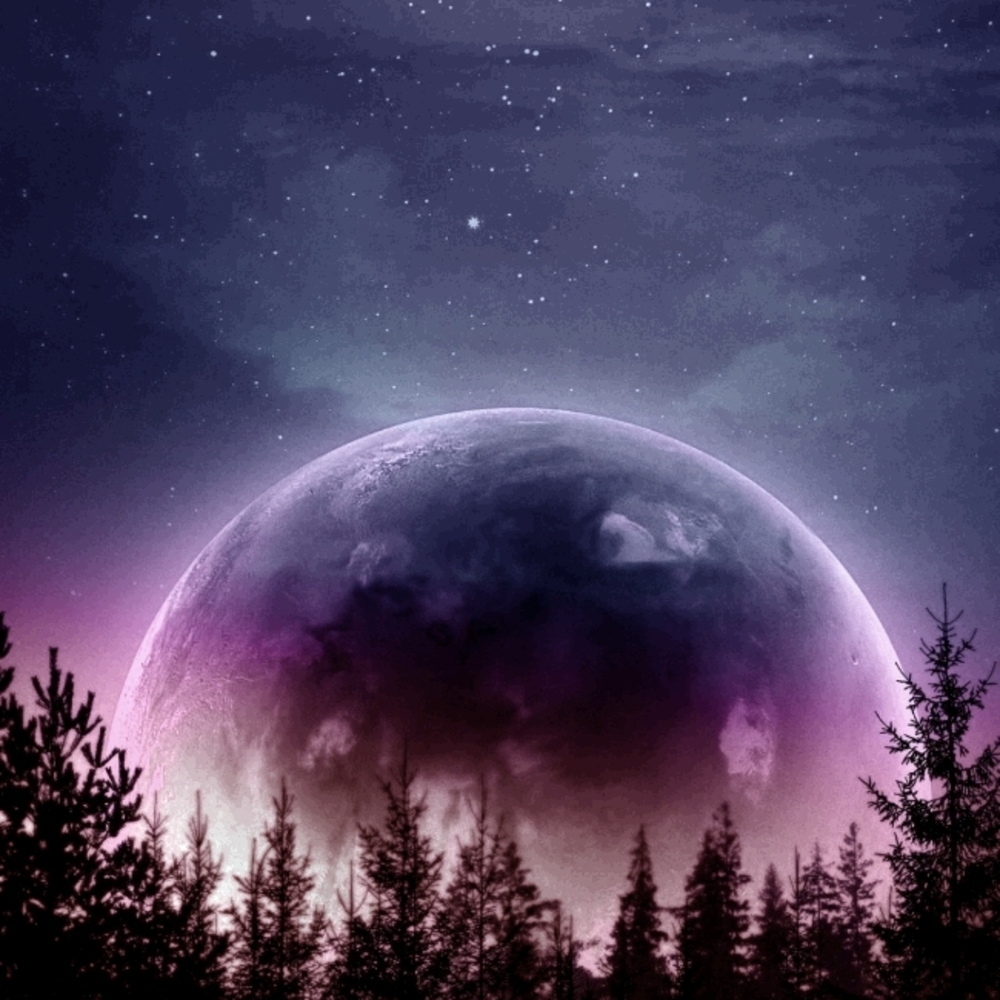 Meet your Posher, Meg